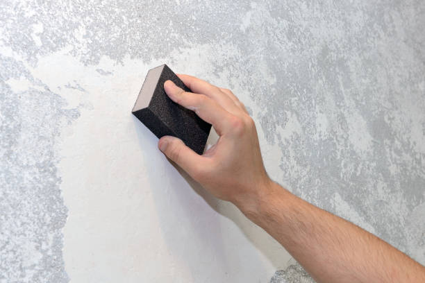 Best Real Estate Mold Inspection  in Ocilla, GA