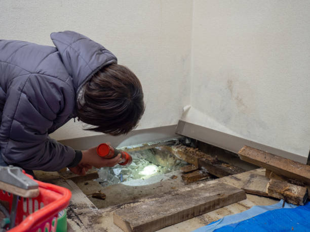 Best Mold Remediation for Vacation Homes  in Ocilla, GA