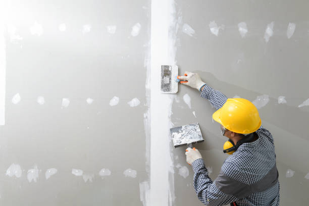 Best Environmental Consulting for Mold Prevention  in Ocilla, GA
