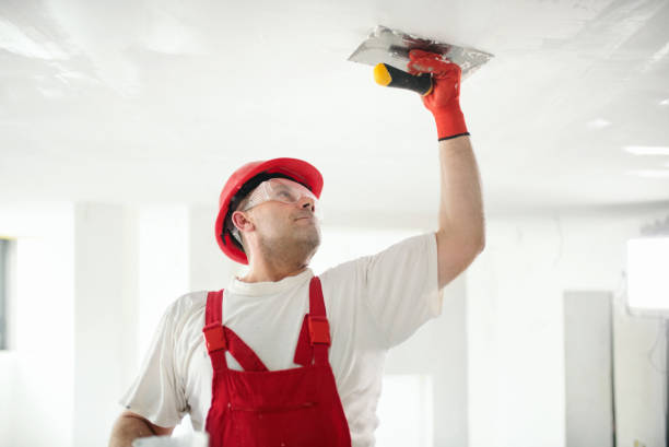 Best Residential Mold Inspection & Testing  in Ocilla, GA