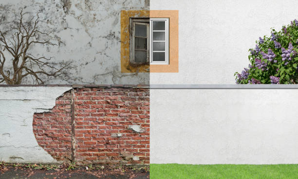 Best Mold Damage Restoration  in Ocilla, GA
