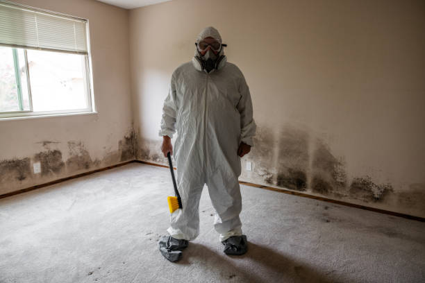 Best Crawl Space Mold Remediation  in Ocilla, GA