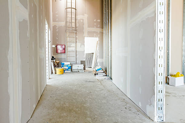 Best Post-Construction Mold Inspection  in Ocilla, GA