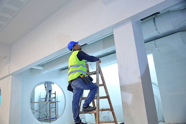 Best Mold Removal for HVAC Installations  in Ocilla, GA