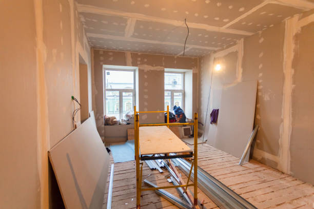 Best Commercial Mold Inspection  in Ocilla, GA